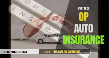 Auto Insurance: Understanding Co-op Benefits and Features