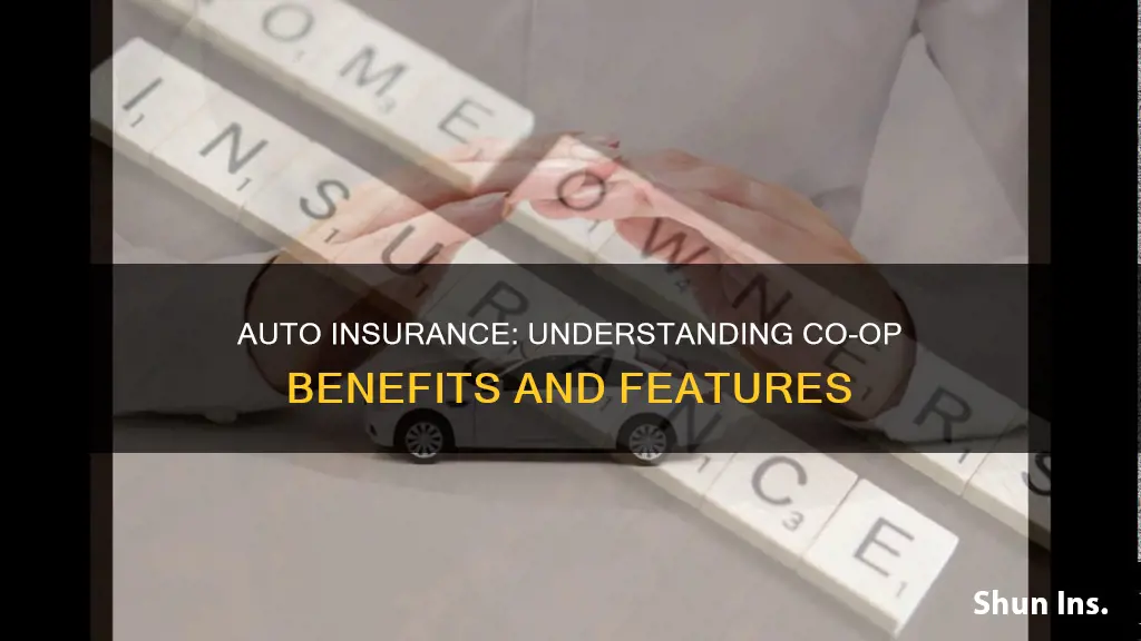 what is co op auto insurance