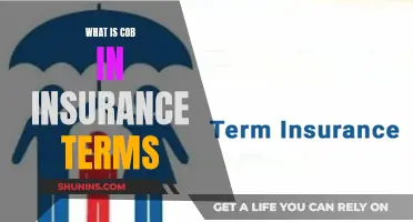 The Intricacies of COB Insurance Clauses: Unraveling Coordination of Benefits