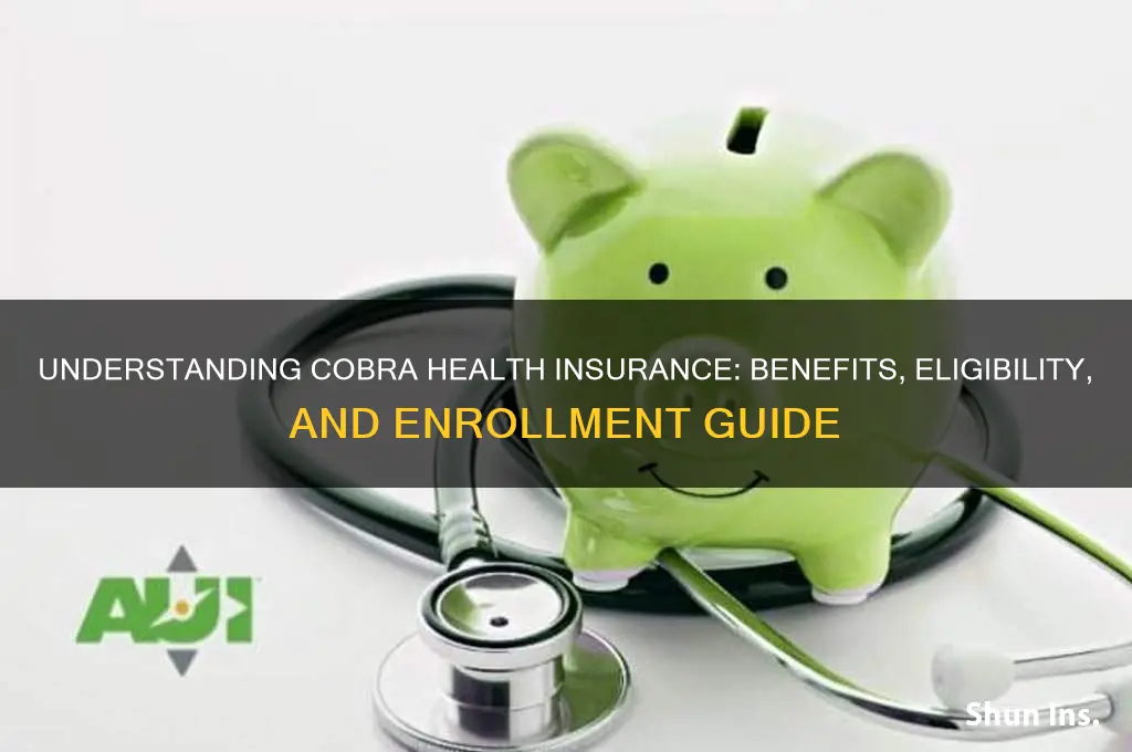 what is cobra health insurance