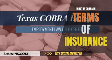 COBRA Coverage: Understanding Your Insurance Continuation Rights