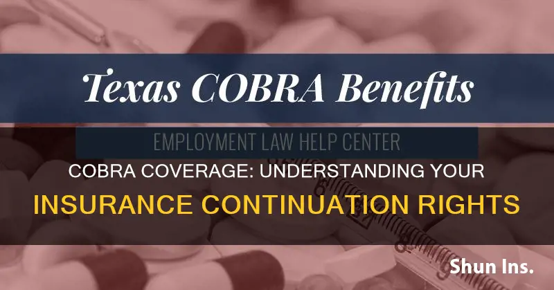 what is cobra in terms of insurance