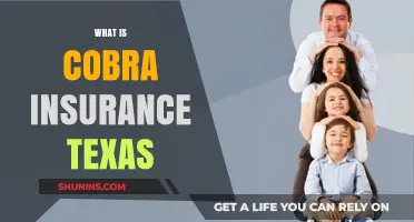 Understanding COBRA Insurance in Texas: Coverage, Costs, and Eligibility Explained