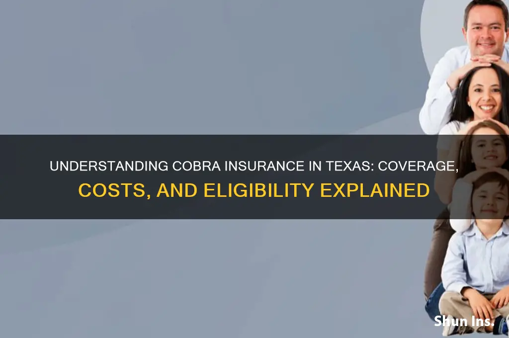 what is cobra insurance texas