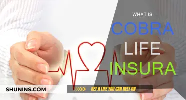 Cobra Life Insurance: What You Need to Know