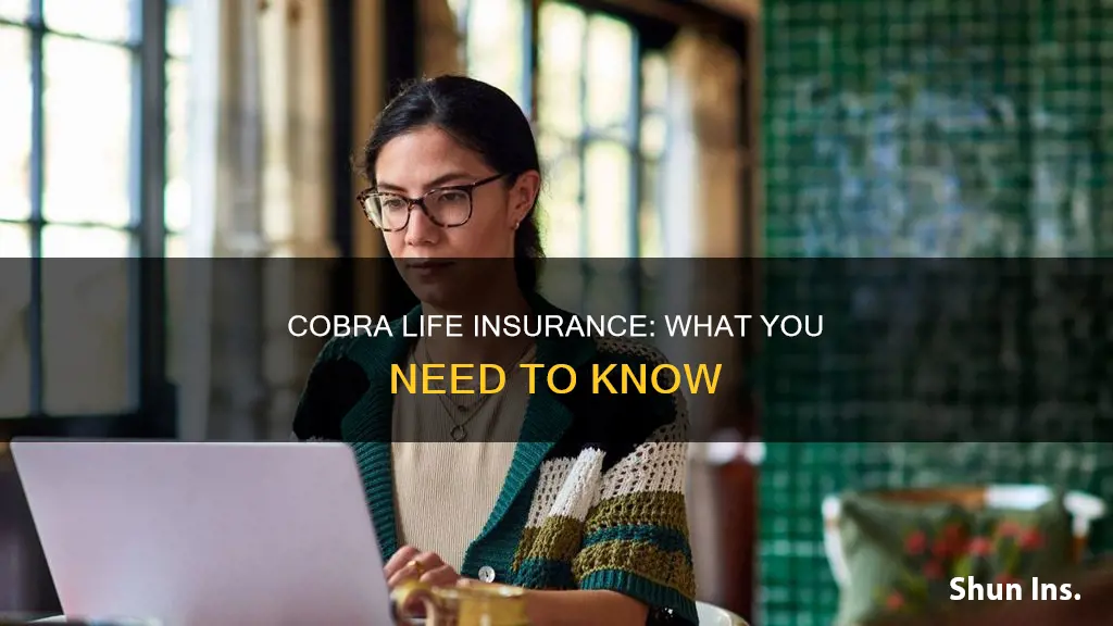 what is cobra life insurance