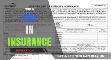 Understanding COI: Insurance's Vital Document