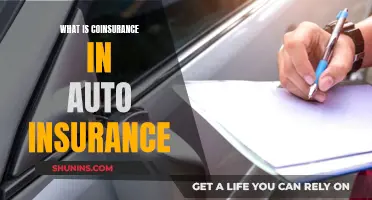 Understanding Coinsurance: Auto Insurance Simplified