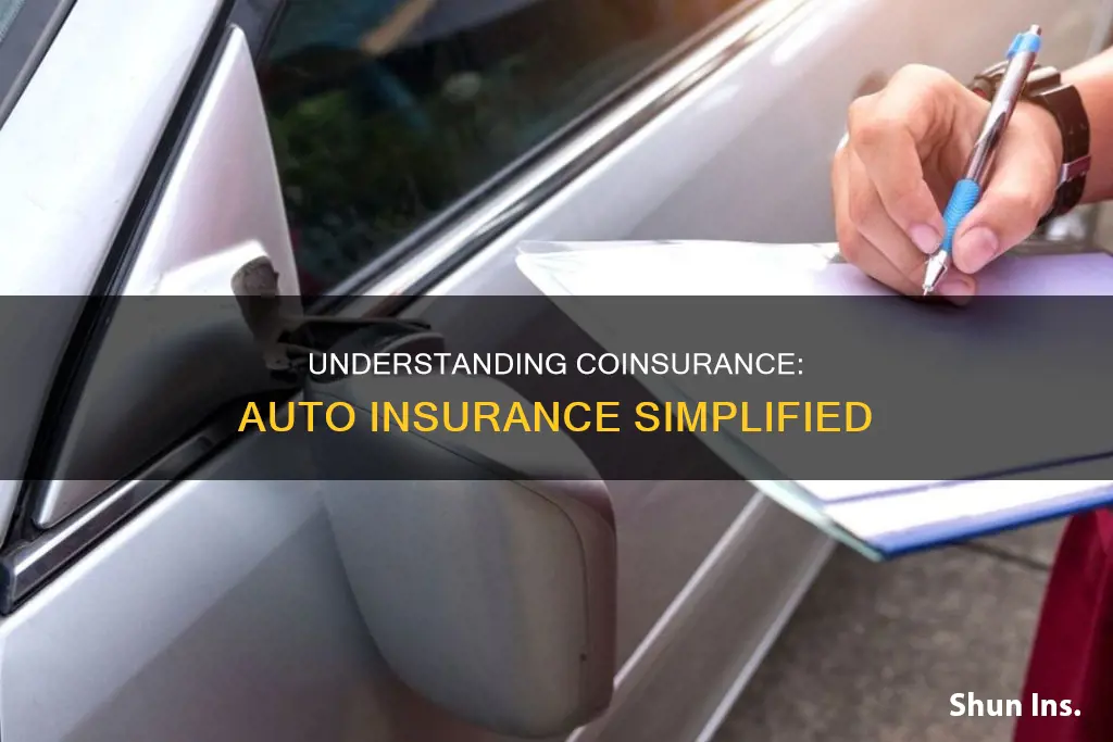 what is coinsurance in auto insurance