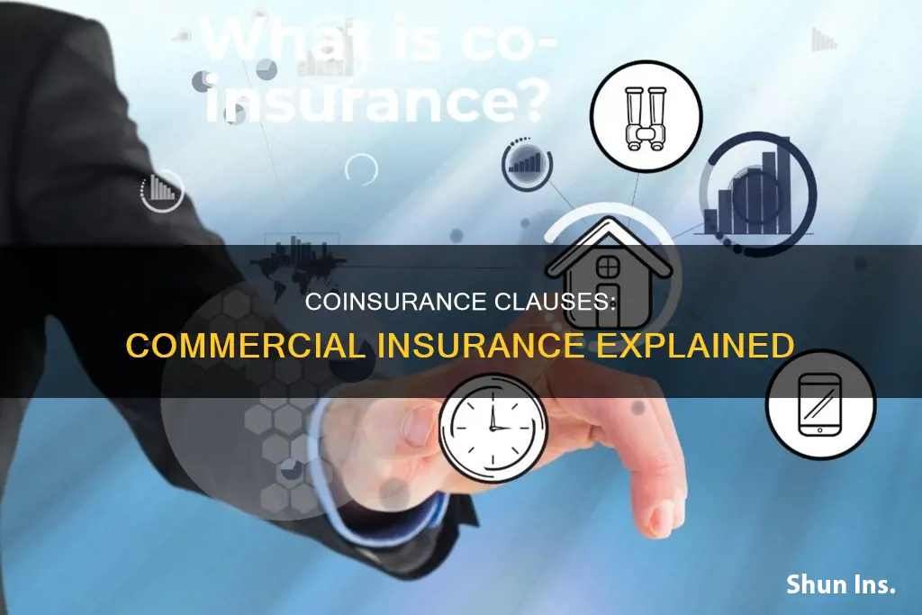 what is coinsurance in commercial insurance