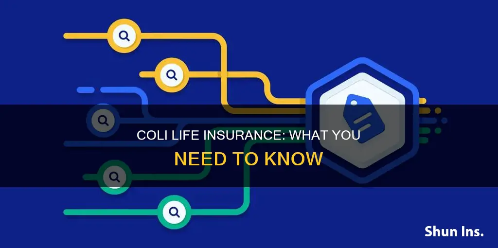 what is coli life insurance