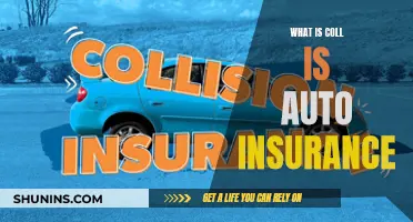 Auto Insurance: What's Cool and What's Not