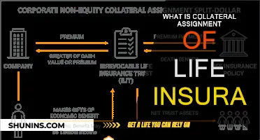 Understanding Life Insurance: Collateral Assignment Explained