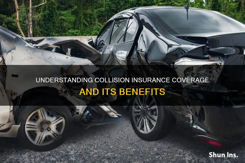 what is collision insurance