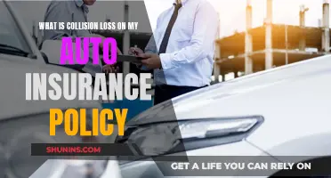 Understanding Collision Loss Coverage in Auto Insurance Policies