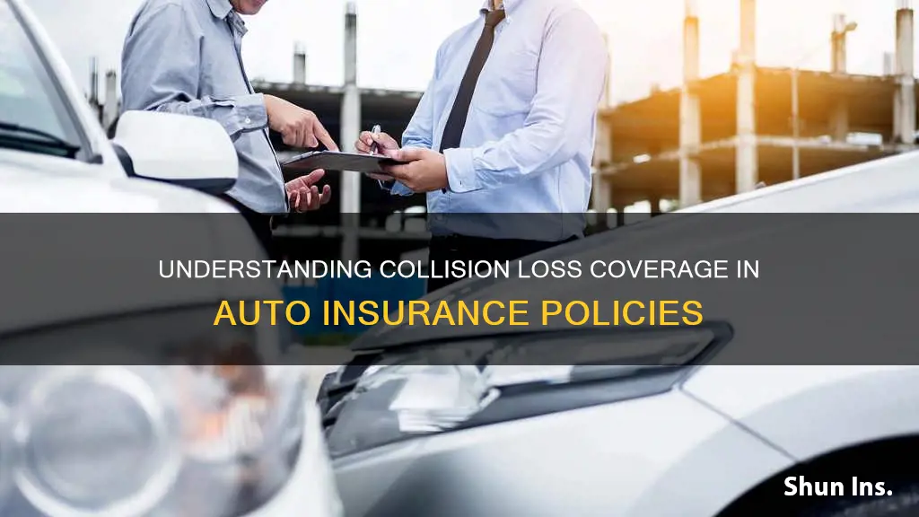 what is collision loss on my auto insurance policy