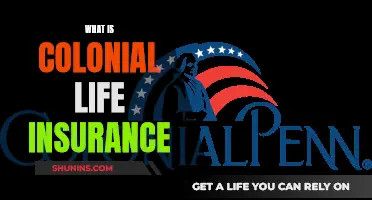 Colonial Life Insurance: Understanding the Basics