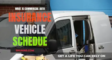 Understanding Commercial Auto Insurance: Vehicle Schedule Essentials