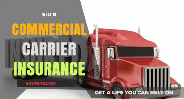 Commercial Carrier Insurance: Protecting Your Business on the Road