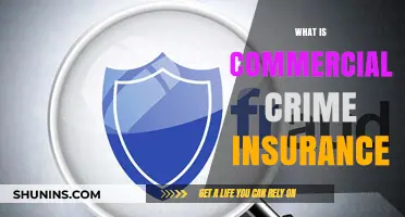 Commercial Crime Insurance: Protecting Your Business from Financial Loss