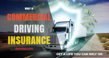 Commercial Driving Insurance: What You Need to Know