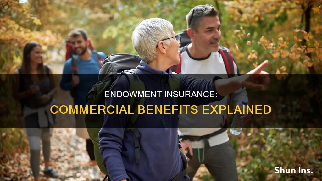 what is commercial endowment insurance