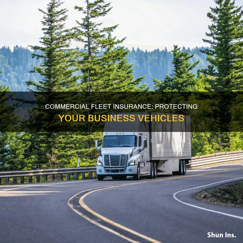 what is commercial fleet insurance