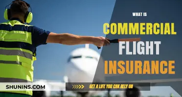Commercial Flight Insurance: Protection for Your Business Trips