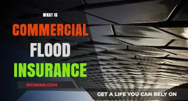 Flood Insurance: Commercial Property Protection