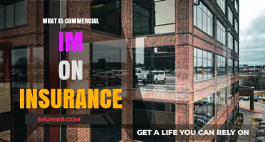 Commercial IM Insurance: What You Need to Know