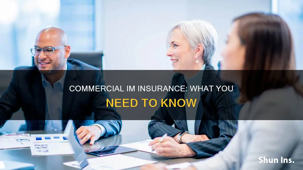 what is commercial im on insurance