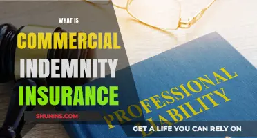 Commercial Indemnity Insurance: Protecting Your Business from Losses
