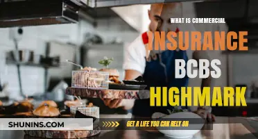 Commercial Insurance: BCBS vs Highmark