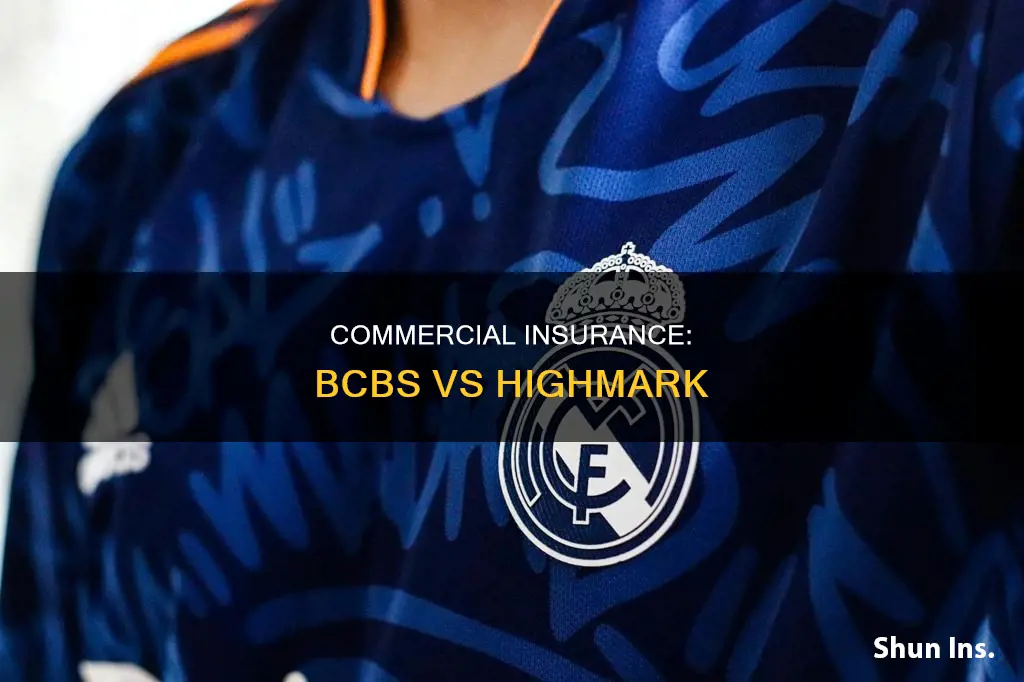 what is commercial insurance bcbs highmark