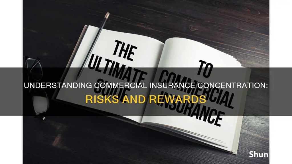what is commercial insurance concentration