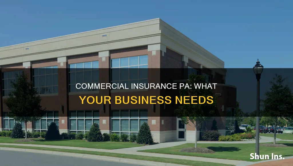 what is commercial insurance pa