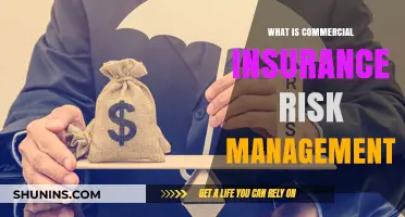 Understanding Commercial Insurance Risk Management