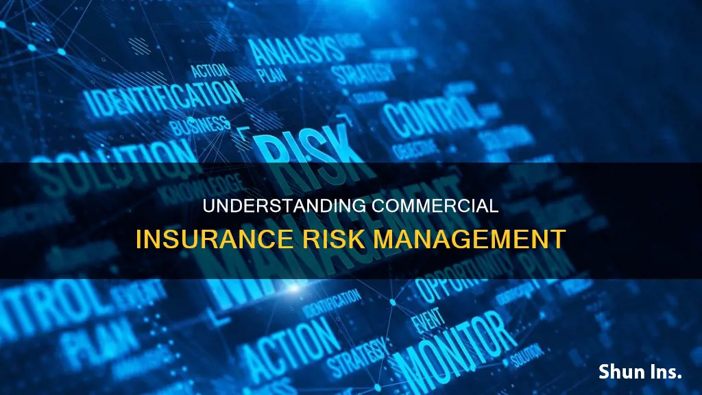 what is commercial insurance risk management