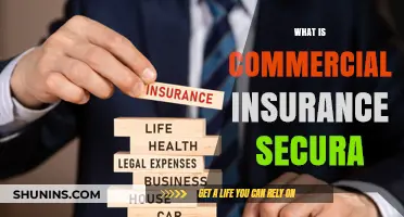 Understanding Secura's Commercial Insurance Offerings