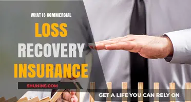 Loss Recovery Insurance: Protecting Your Business from Financial Losses