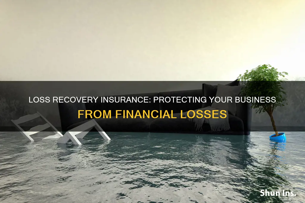 what is commercial loss recovery insurance