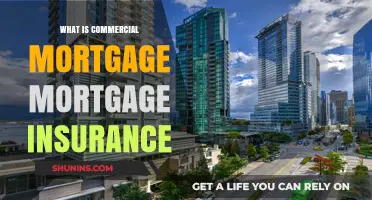 Commercial Mortgage Insurance: Protecting Your Business Loans