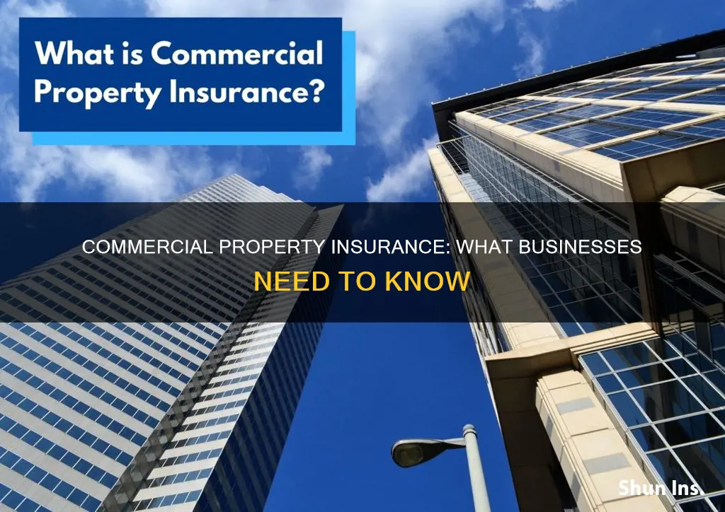 what is commercial property insurance scholarly article