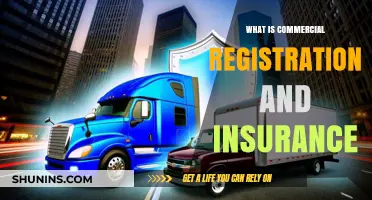 Commercial Registration and Insurance: What Businesses Need to Know