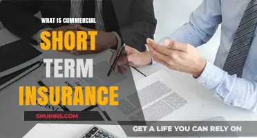 Short-Term Commercial Insurance: What You Need to Know