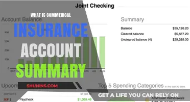 Commercial Insurance Account Summary: What You Need to Know