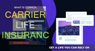 Carrier Life Insurance: Common Carrier Policy Benefits