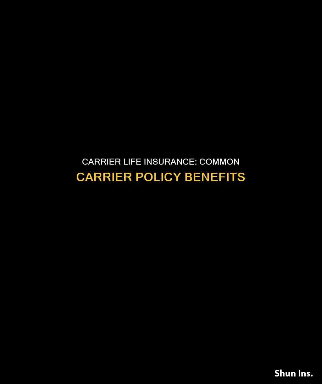 what is common carrier life insurance