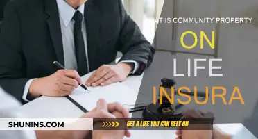 Understanding Community Property Life Insurance