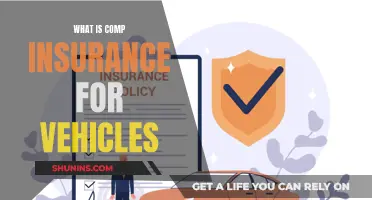 Comp Insurance: Vehicle Protection